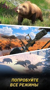 Hunting Rivals 1.0.0. Скриншот 18
