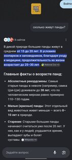 Vion Ai 1.1. Скриншот 4