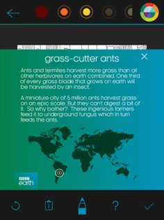 BBC Earth Colouring 1.4. Скриншот 10