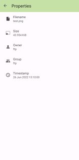 FTPClient 3.0.1. Скриншот 4