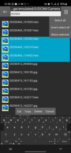 Little File Explorer 4.18. Скриншот 9
