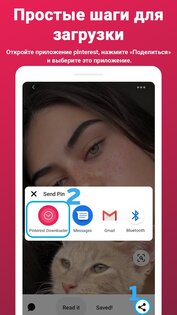 Загрузчик видео для Pinterest 2.556. Скриншот 2