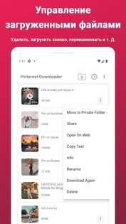 Загрузчик видео для Pinterest 2.556. Скриншот 4