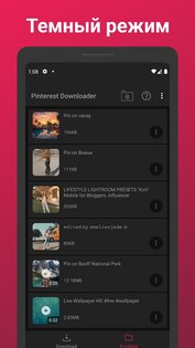 Загрузчик видео для Pinterest 2.556. Скриншот 7