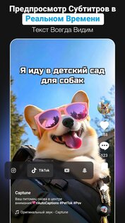 Caption AI: Субтитры для видео 1.20.7. Скриншот 8