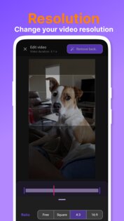 PixelZap 1.7.5. Скриншот 7