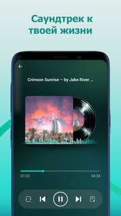 JanaTube 5.6.90.102. Скриншот 9