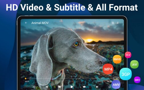 HD Video Player All Formats 2.6.2. Скриншот 19