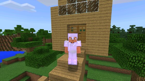 Building Craft 1.0.24. Скриншот 5