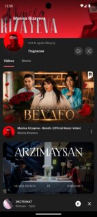 Play Tube 9.15.2. Скриншот 3