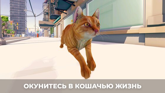 Симулятор кота в городе 3.0. Скриншот 3