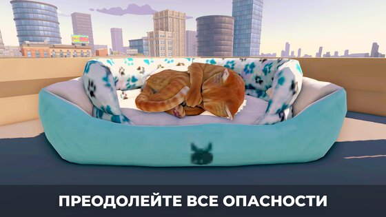 Симулятор кота в городе 3.0. Скриншот 6