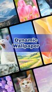 Dynamic Wallpaper 1.0.10. Скриншот 4