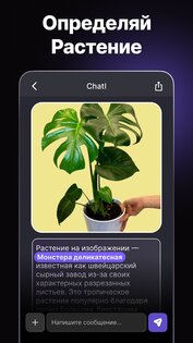 Chat AI: ИИ Ассистент Джипити 1.3.0. Скриншот 5