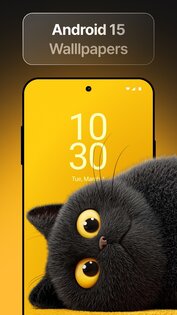 Wallpics 1.0.66. Скриншот 1