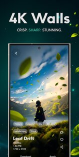WallRio 2.0.18. Скриншот 4