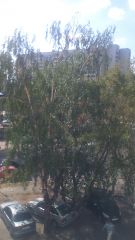 Обзор-сравнение BB Mobile techno 7.0 3G TM756A и BB Mobile techno 8.0 3G TM859H