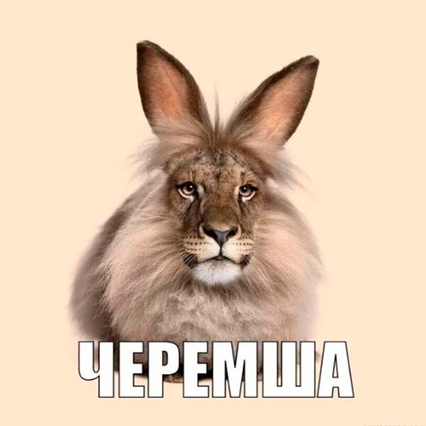 Cheremsha platformer — платформер про черемшу.