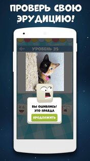 Викторина: игра без интернета. Скриншот 1