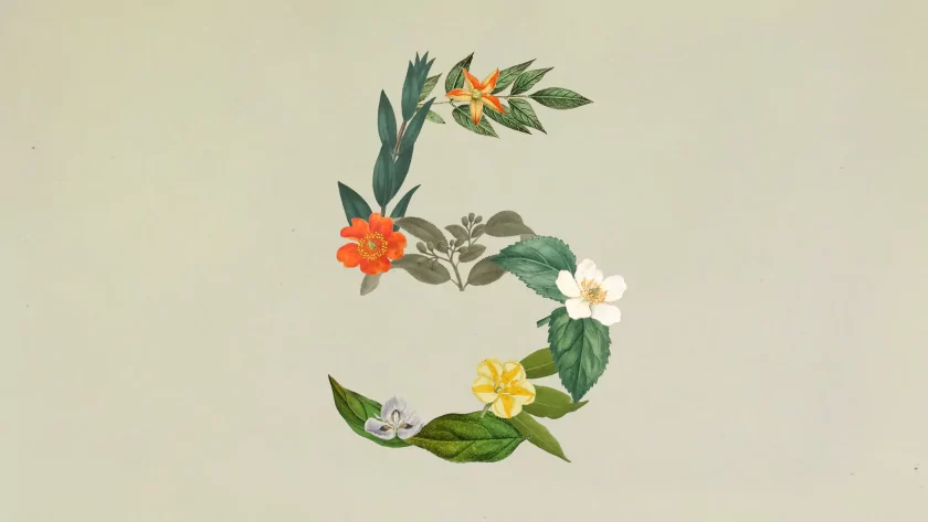 Anthropic представила Claude Sonnet 5 — самую агентную модель серии на сегодняшний день