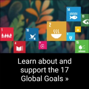 Samsung Global Goals 3.6.01.2. Скриншот 13