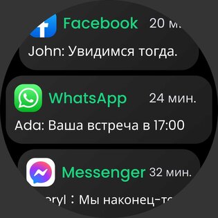 Watch Mate 1.3.4.P. Скриншот 10
