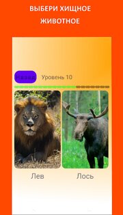 Викторина 1.2.1. Скриншот 2