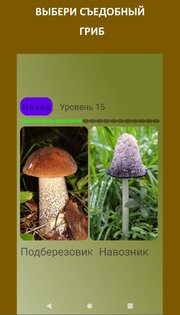 Викторина 1.2.1. Скриншот 5
