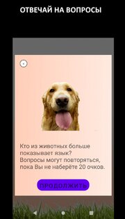 Викторина 1.2.1. Скриншот 6