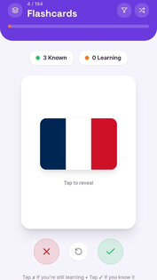 Flag Master 1.0. Скриншот 6