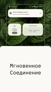 WADBS 1.3. Скриншот 4