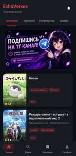 EchoVerses 19.0. Скриншот 1