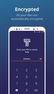 Tella 3.2.0. Скриншот 2