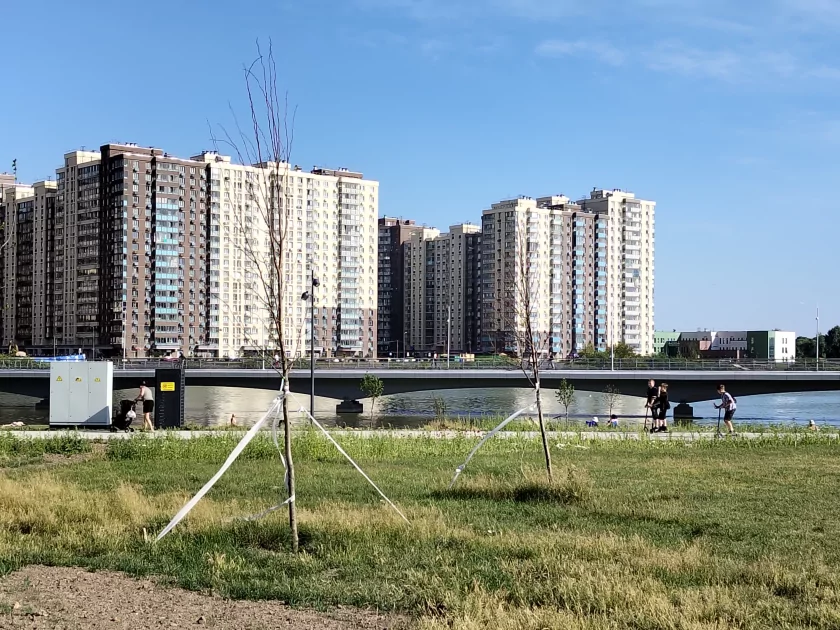 Выносливый, яркий и по разумной цене: обзор realme P4 — Качество снимков. 25