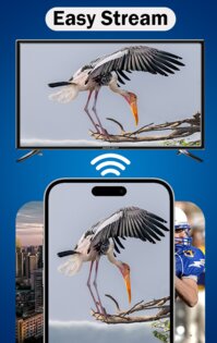 MirrorLink App for Car 201.0.4. Скриншот 6
