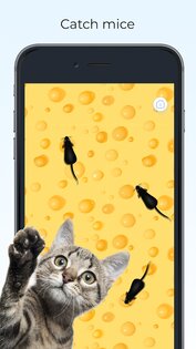 Meow Cat Game – игра для кошек 3.0.8. Скриншот 1