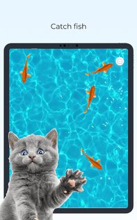 Meow Cat Game – игра для кошек 3.0.8. Скриншот 11