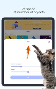 Meow Cat Game – игра для кошек 3.0.8. Скриншот 15