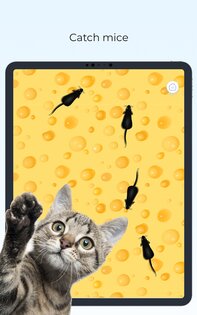 Meow Cat Game – игра для кошек 3.0.8. Скриншот 17