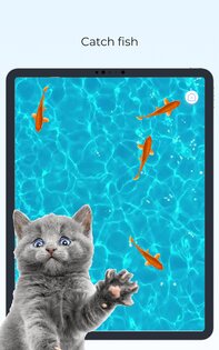 Meow Cat Game – игра для кошек 3.0.8. Скриншот 19