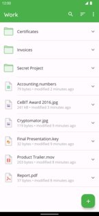 Cryptomator 1.12.3. Скриншот 5