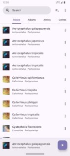 Phocid 20260610. Скриншот 1