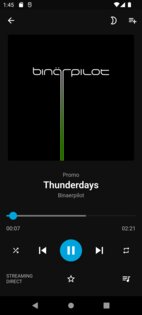 Finamp 0.6.27. Скриншот 6
