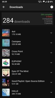 Finamp 0.6.27. Скриншот 7