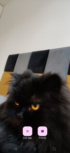 Mirror 1.2.0. Скриншот 1