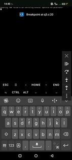 TermuC 0.2.4. Скриншот 5