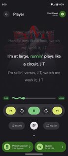 Rhythm 5.3.440. Скриншот 35