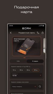 BORK 5.7.4. Скриншот 2