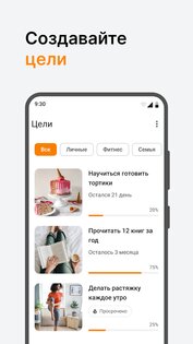Цели и планирование 2.7.3. Скриншот 1