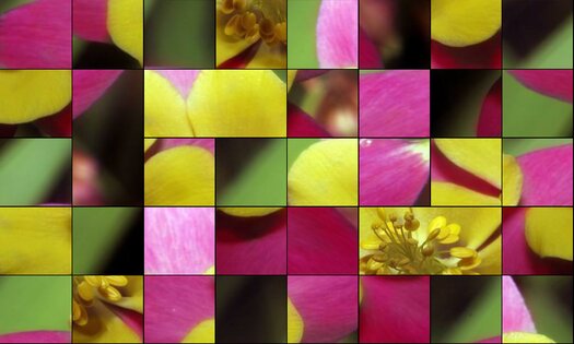 Linderdaum Puzzle 2.3.5. Скриншот 8